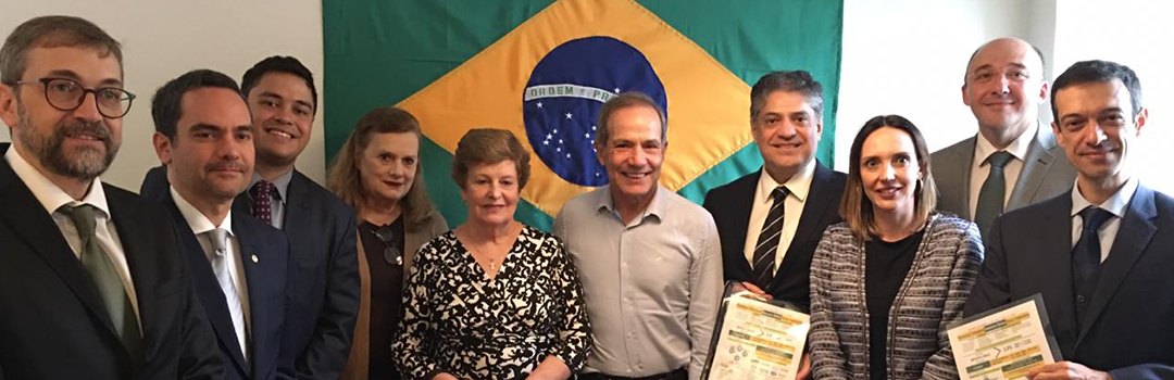 ANAUNI PARTICIPA DE REUNIÃO COM DEPUTADO GENERAL PETERNELLI EM SP